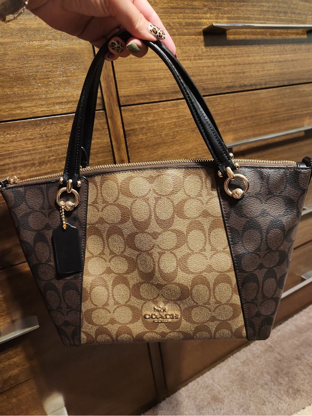 Coach Signature Canvas Colorblock Tote in Brown and Black